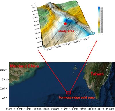 Macrofauna community of the cold seep area at Site F, South China Sea